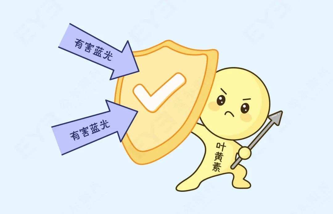 圖片.png